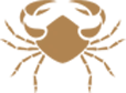 Cancer zodiac sign