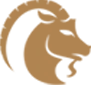Capricorn zodiac sign